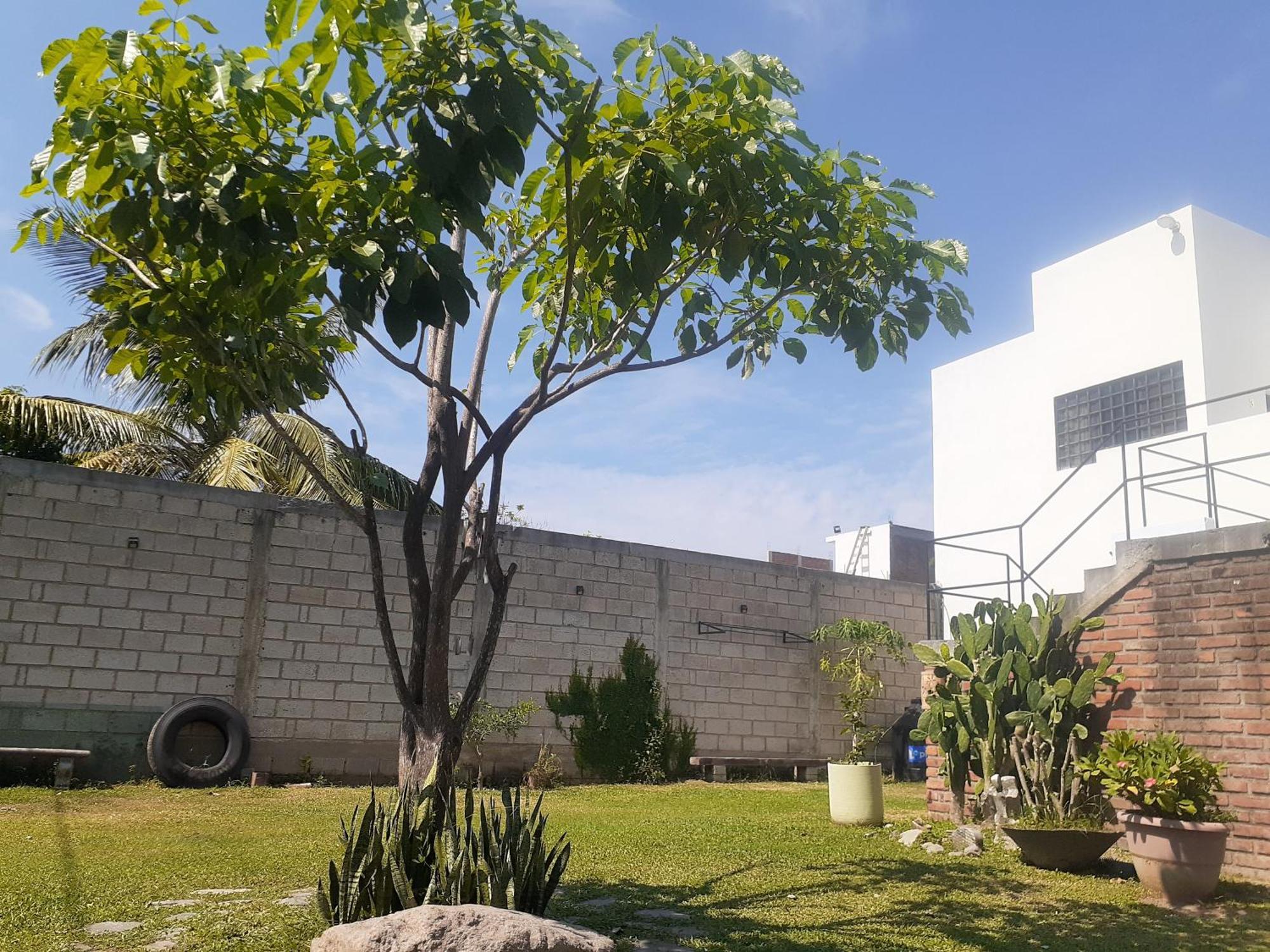 Apartamento Loft con Jardín amplio 3 Puerto Vallarta Exterior foto